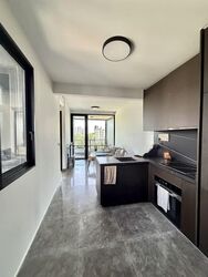 Hyll On Holland (D10), Condominium #547290271